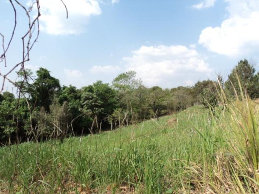 Terreno, 1 hectares - Foto 5