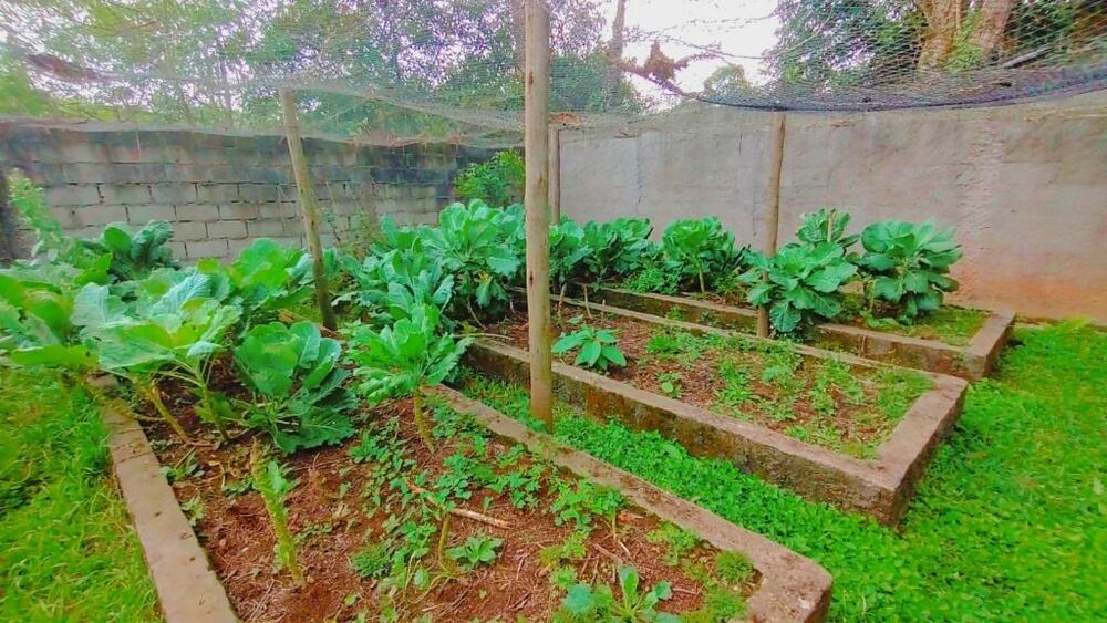 Chácara à venda com 5 quartos, 8500m² - Foto 6