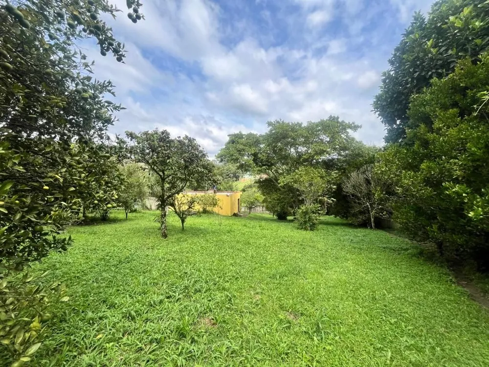 Chácara, 3 quartos, 5055 m² - Foto 1