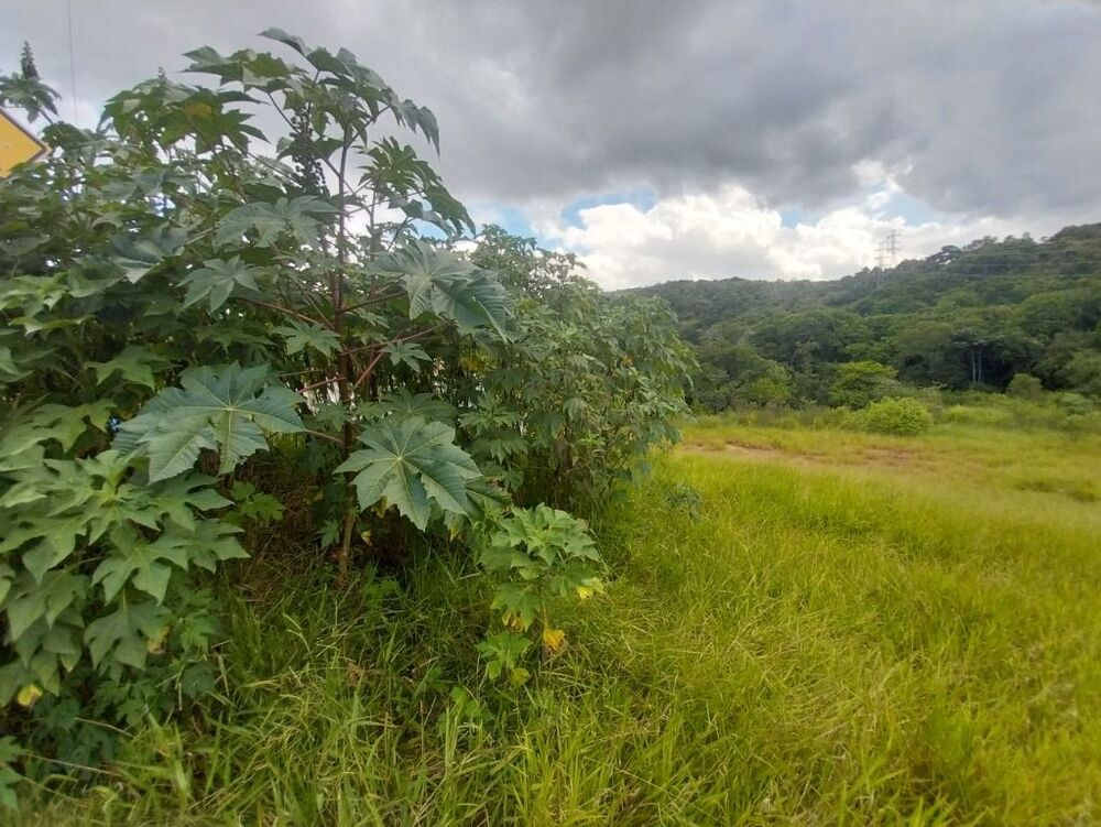 Terreno à venda, 125m² - Foto 1