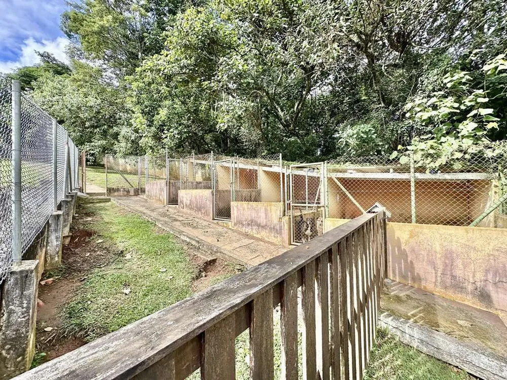 Chácara, 3 quartos, 4900 m² - Foto 11