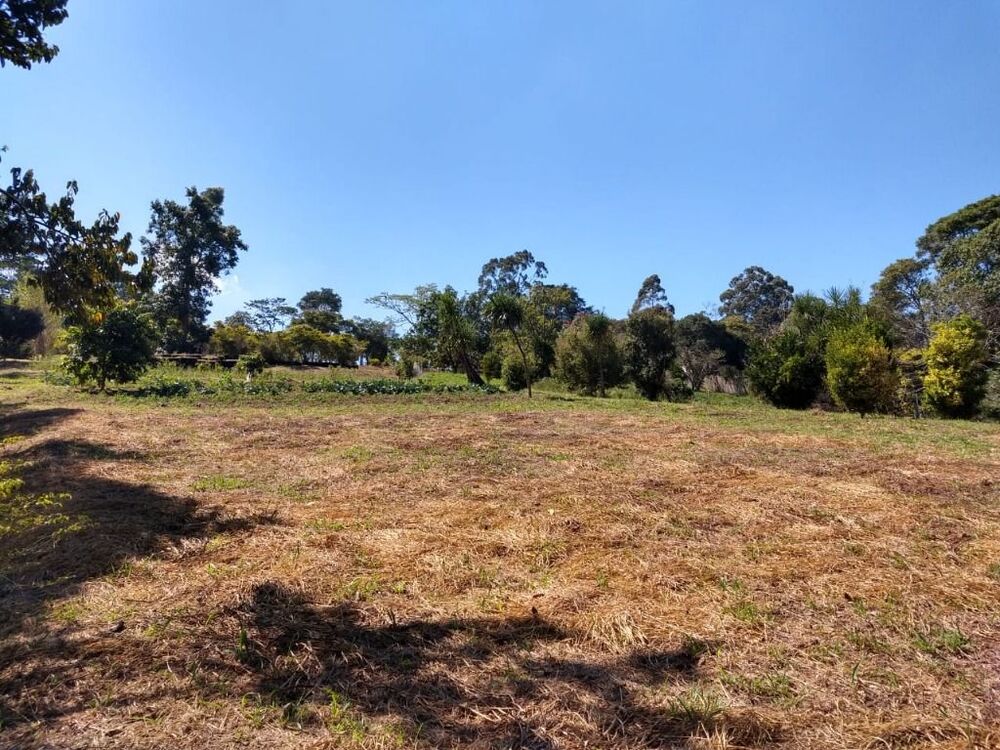 Terreno, 6 hectares - Foto 2