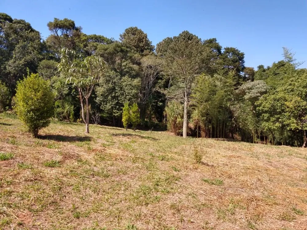 Terreno, 6 hectares - Foto 7