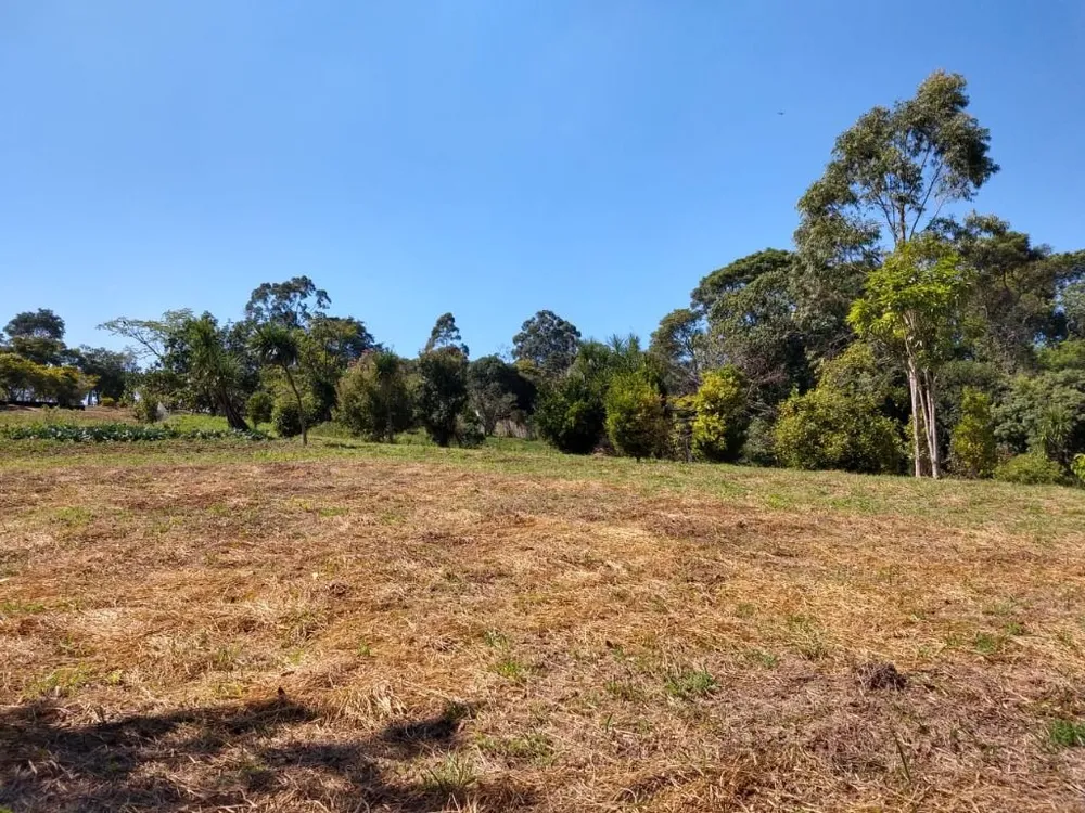 Terreno, 6 hectares - Foto 1