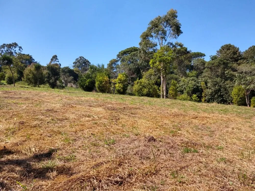 Terreno, 6 hectares - Foto 6