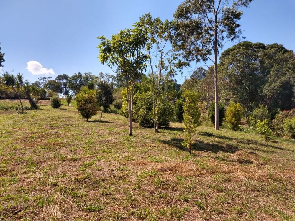 Terreno, 6 hectares - Foto 1