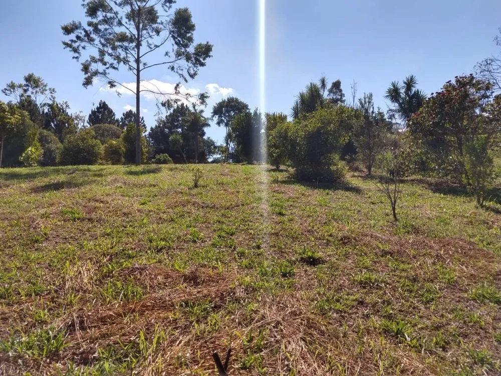 Terreno, 6 hectares - Foto 12