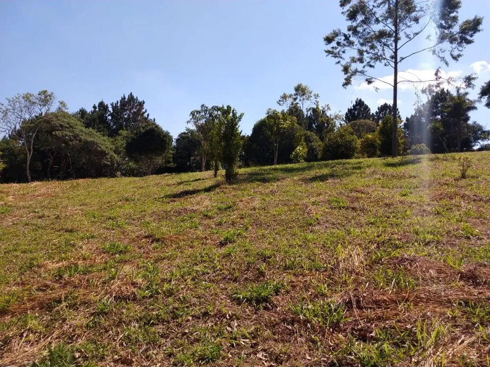 Terreno, 6 hectares - Foto 10