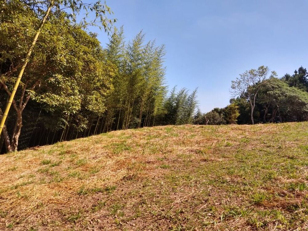 Terreno, 6 hectares - Foto 4