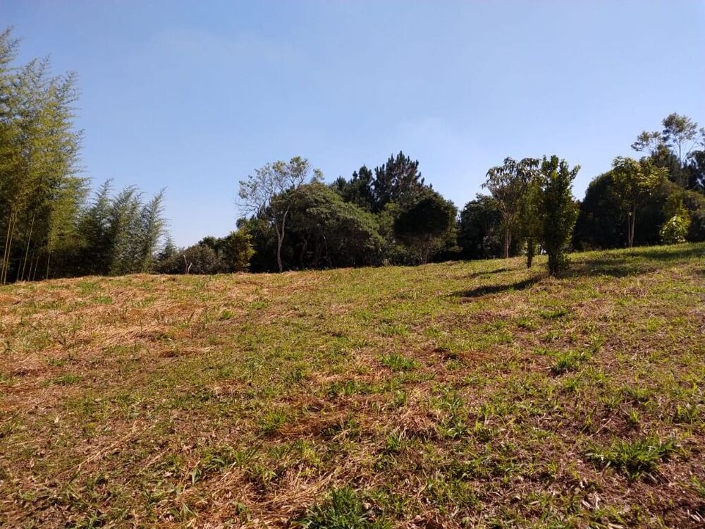 Terreno, 6 hectares - Foto 3