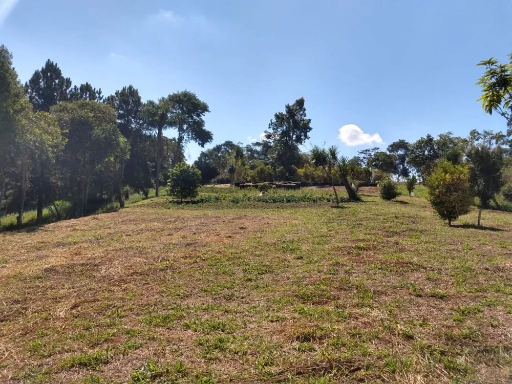 Terreno, 6 hectares - Foto 2