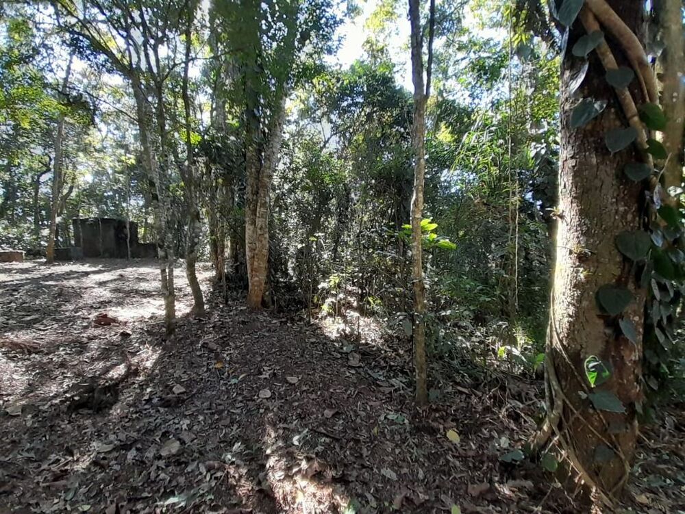 Terreno, 2 hectares - Foto 6