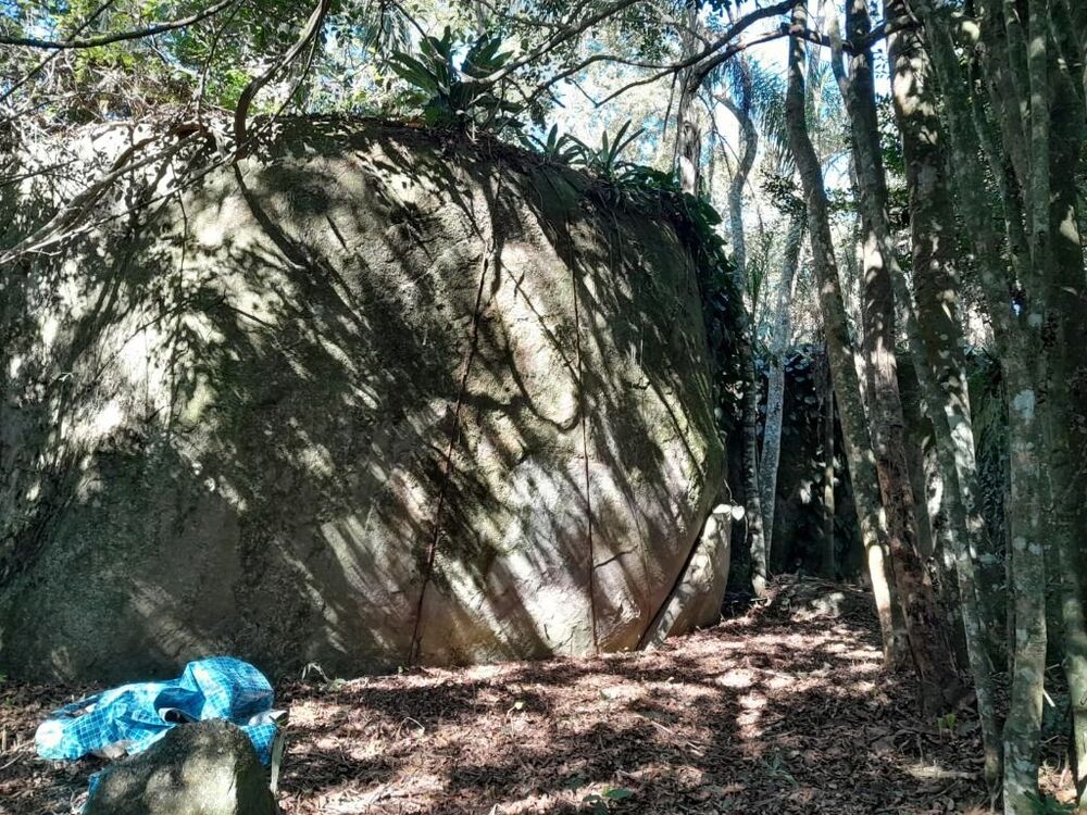 Terreno, 2 hectares - Foto 4