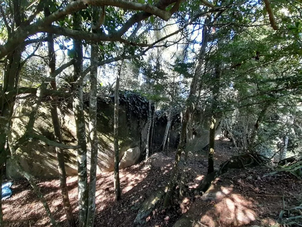 Terreno, 2 hectares - Foto 4