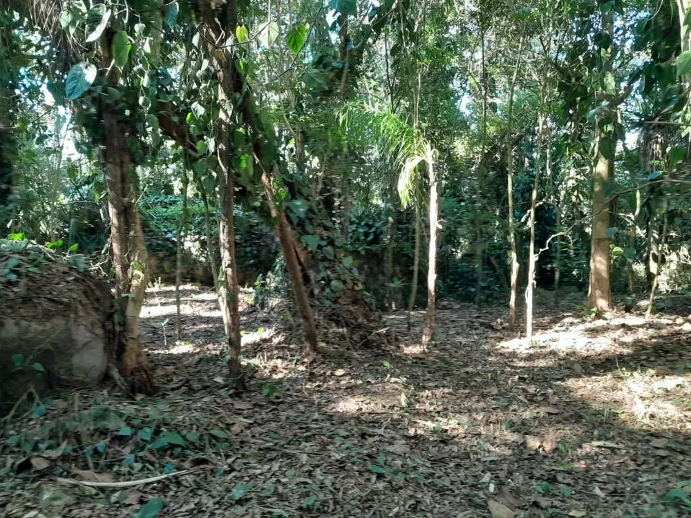 Terreno, 2 hectares - Foto 1