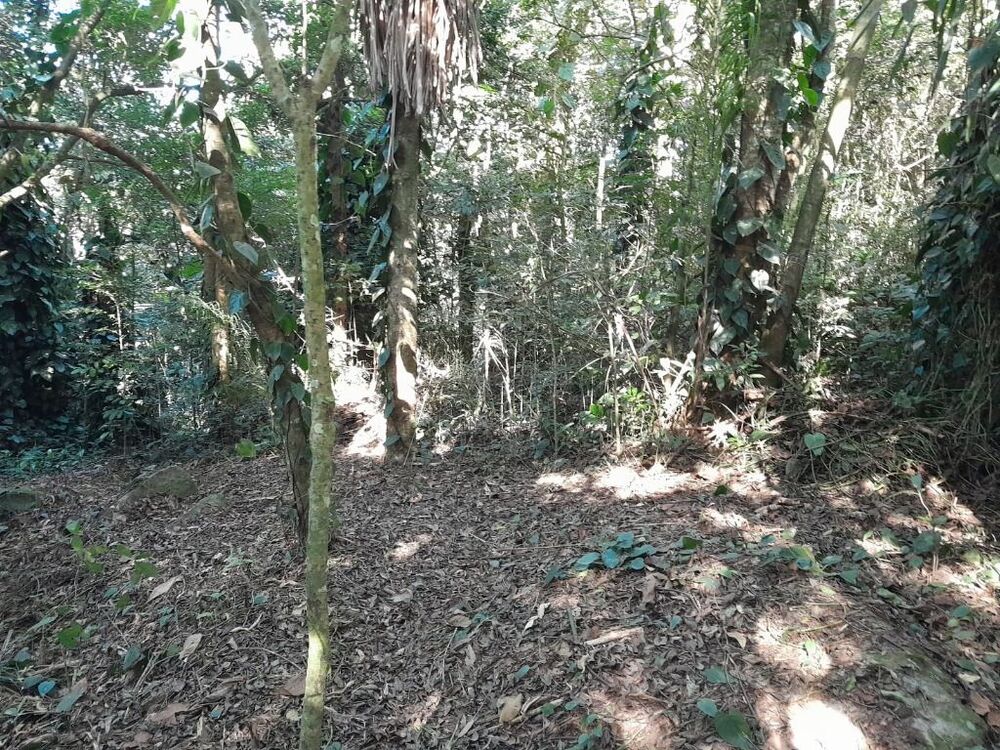 Terreno, 2 hectares - Foto 3