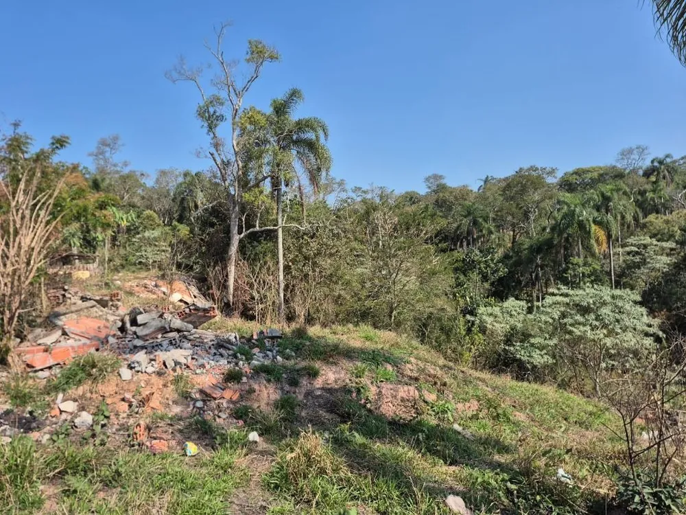 Terreno, 2 hectares - Foto 8
