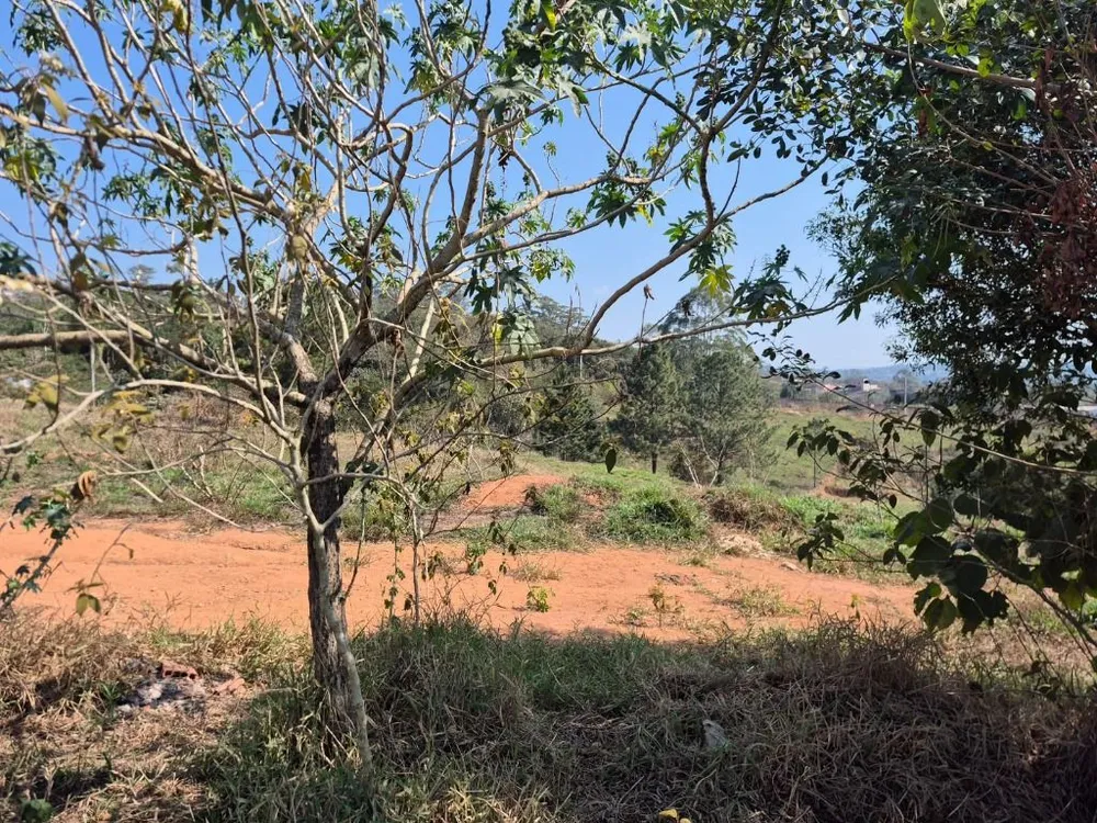 Terreno, 2 hectares - Foto 4