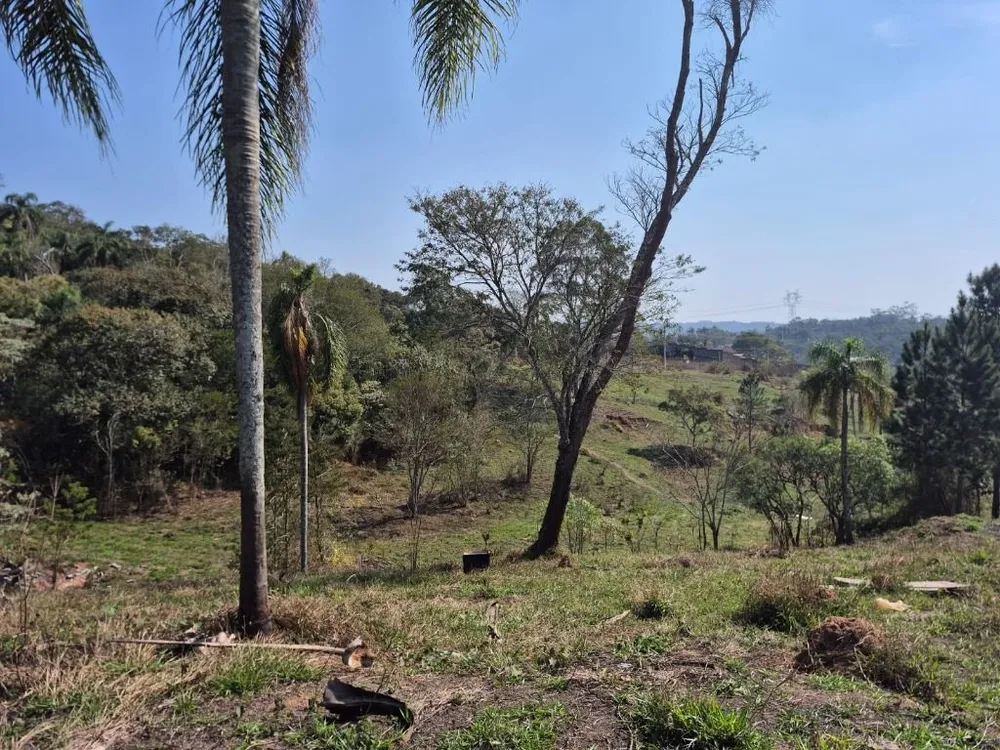 Terreno, 2 hectares - Foto 6