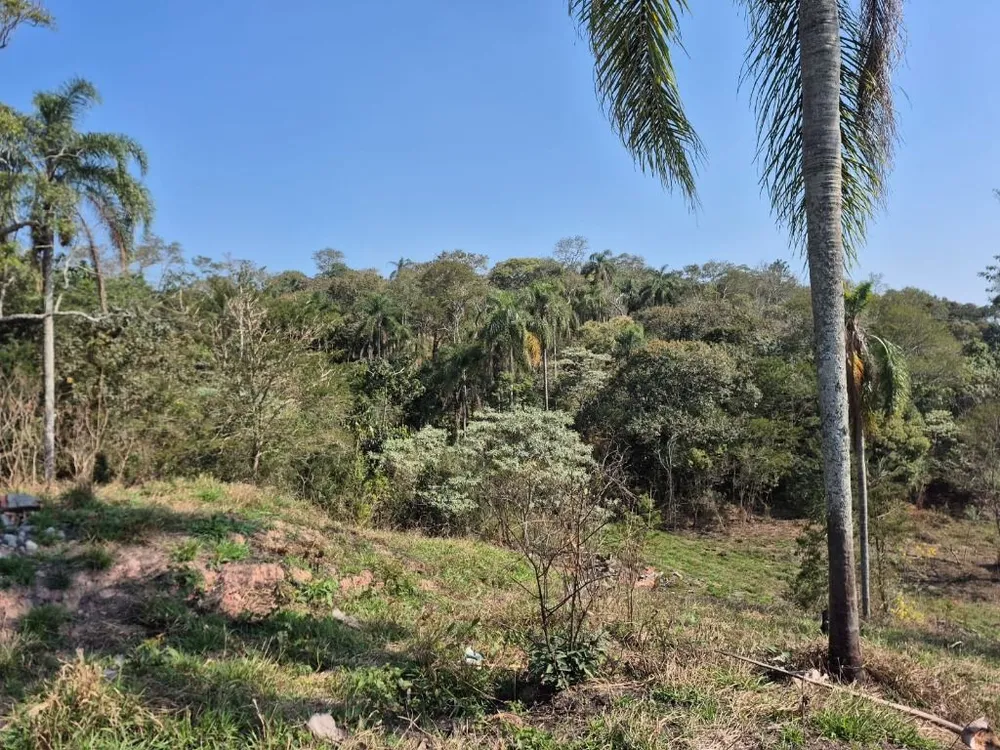Terreno, 2 hectares - Foto 7