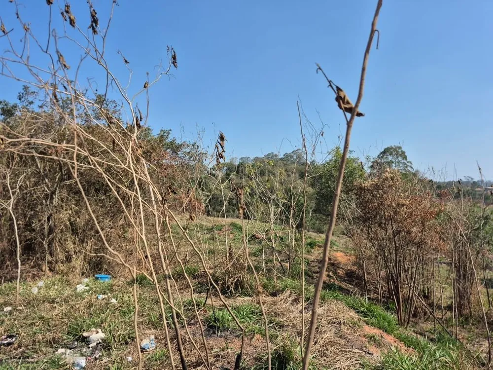 Terreno, 2 hectares - Foto 3