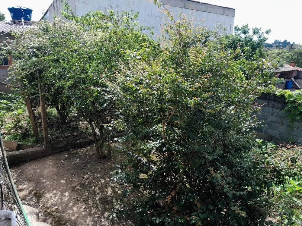 Chácara, 2 quartos, 1200 m² - Foto 19