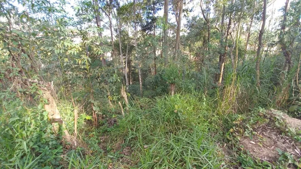 Terreno, 8800 m² - Foto 7