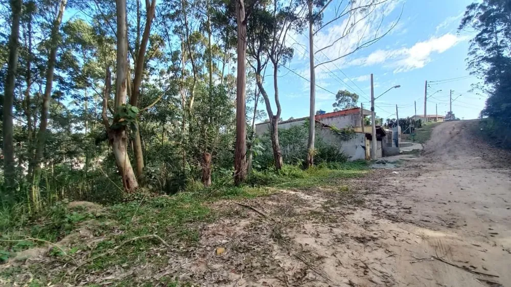 Terreno, 8800 m² - Foto 5