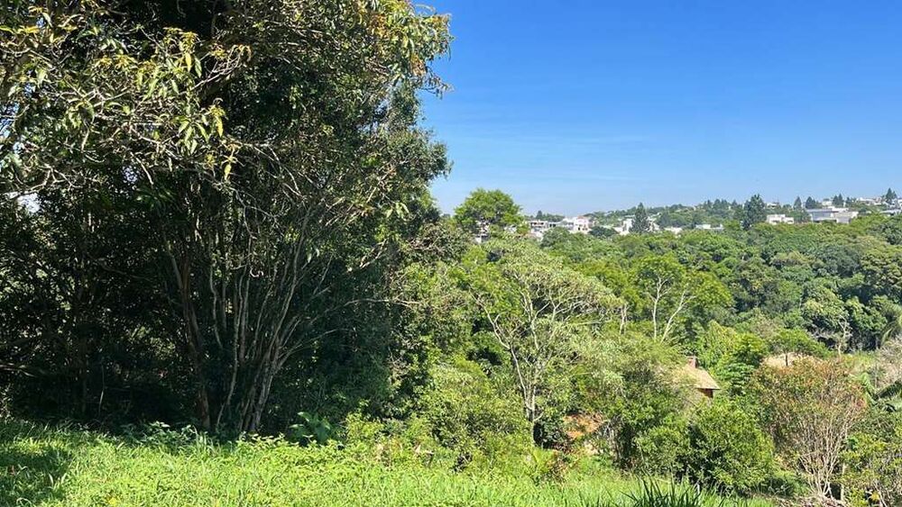 Loteamento e Condomínio, 1041 m² - Foto 3