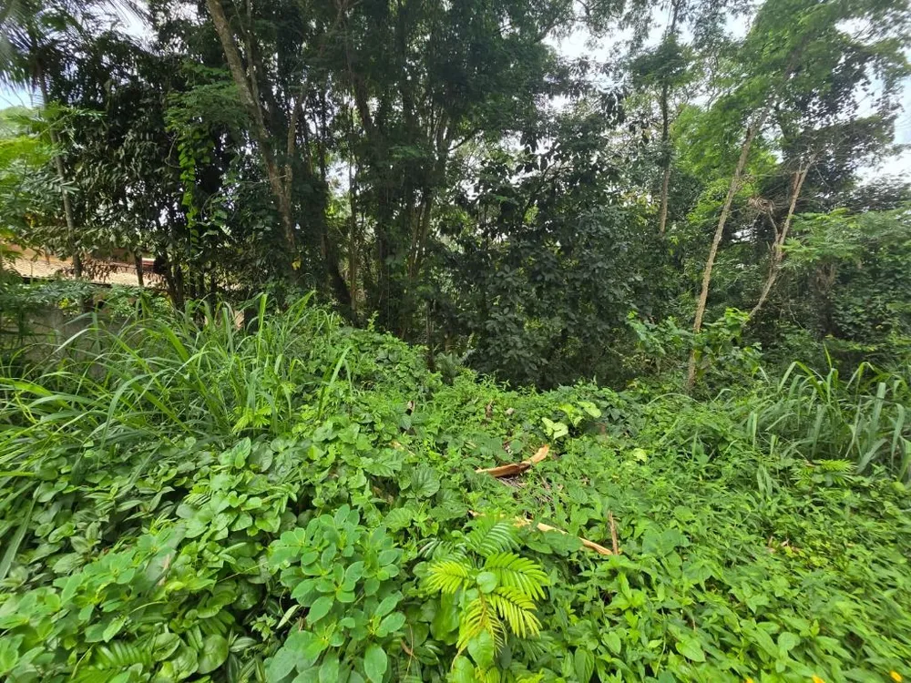 Loteamento e Condomínio, 2334 m² - Foto 4