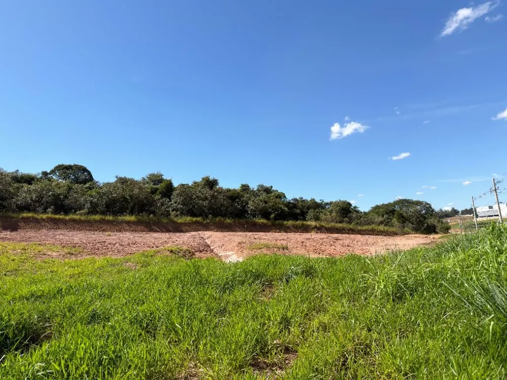 Terreno, 4770 m² - Foto 2