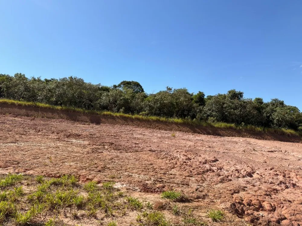 Terreno, 4770 m² - Foto 6
