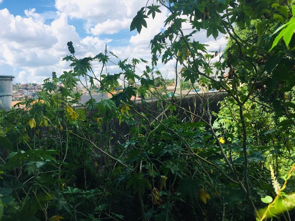 Terreno, 370 m² - Foto 6