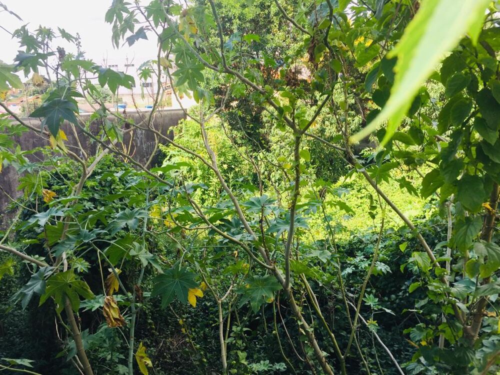 Terreno, 370 m² - Foto 10