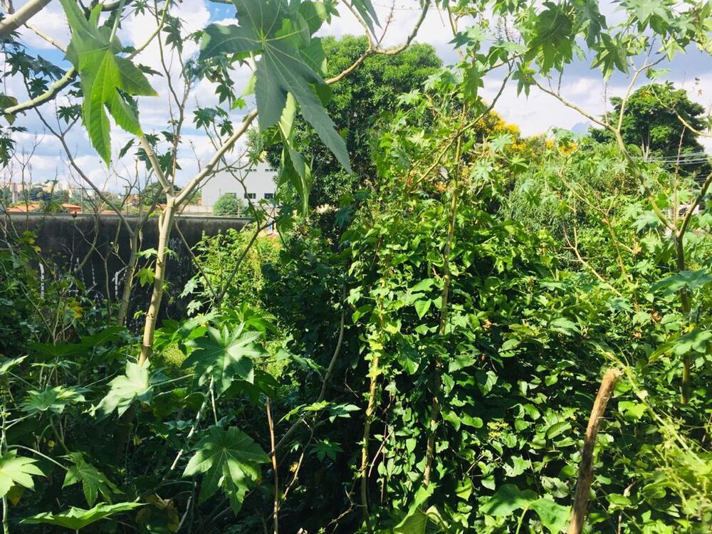 Terreno, 370 m² - Foto 8