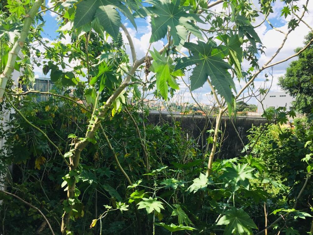 Terreno, 370 m² - Foto 7