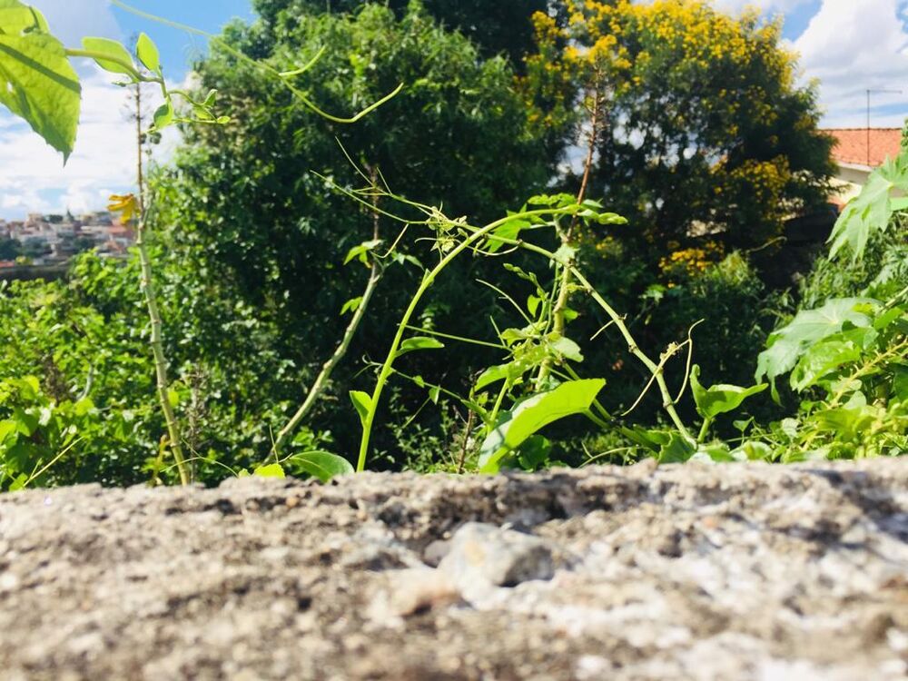 Terreno, 370 m² - Foto 9