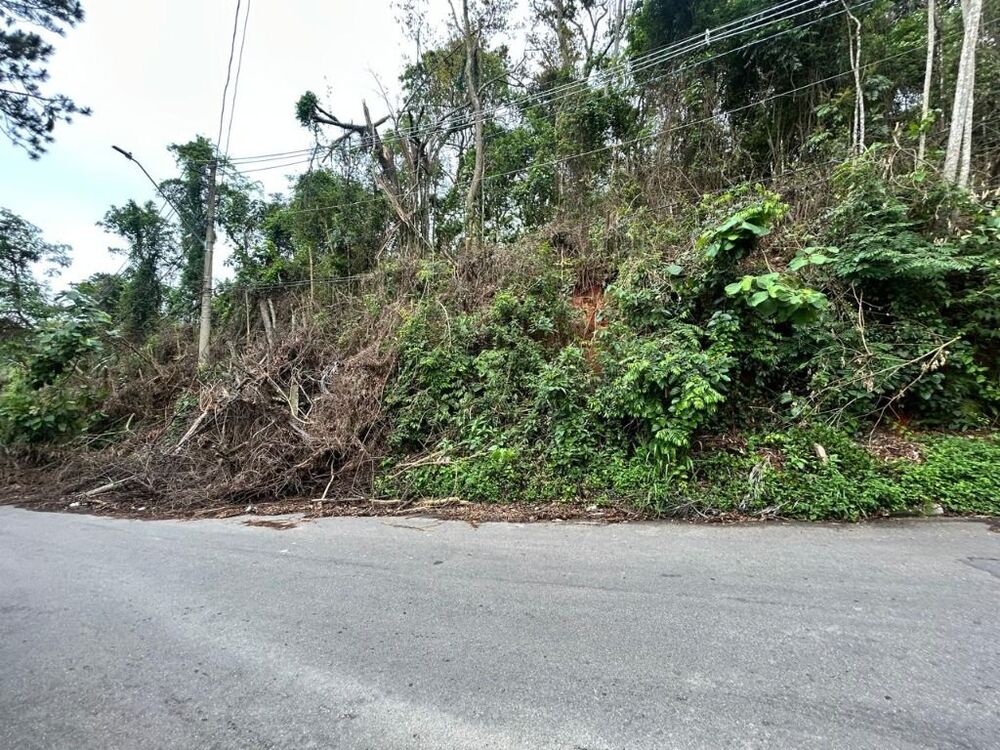 Terreno, 6475 m² - Foto 5