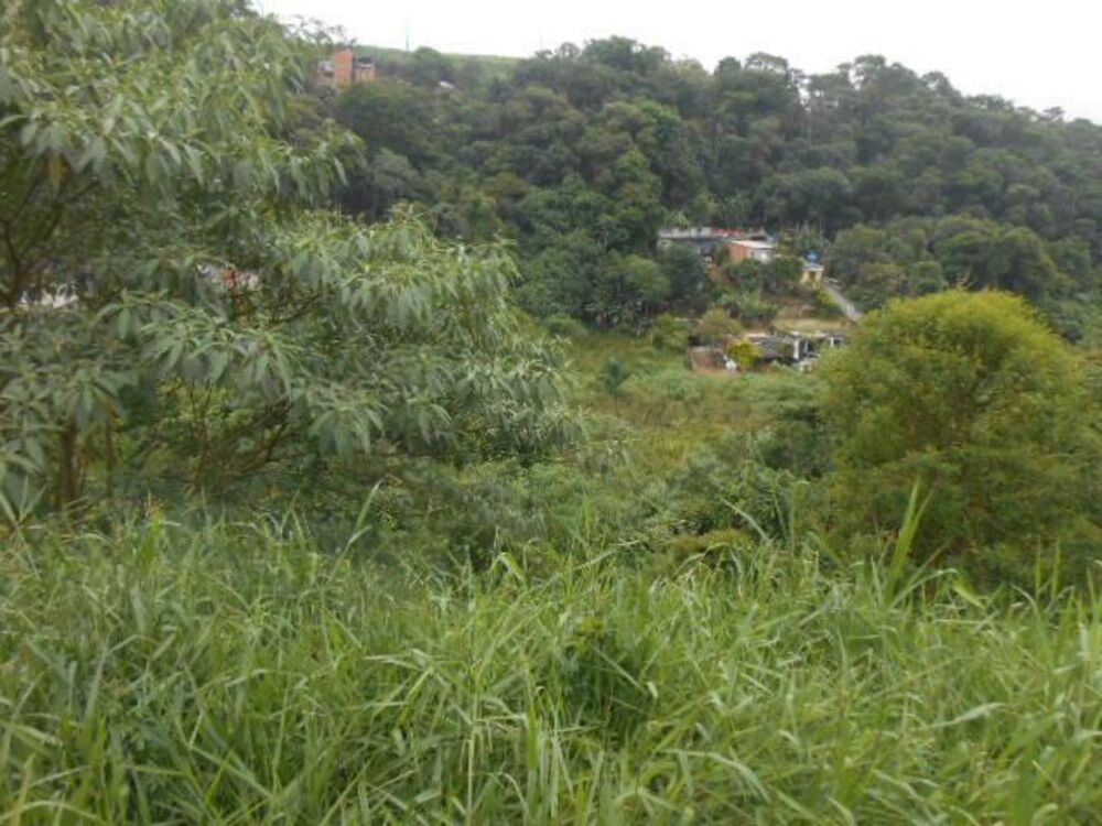 Terreno, 2530 m² - Foto 2