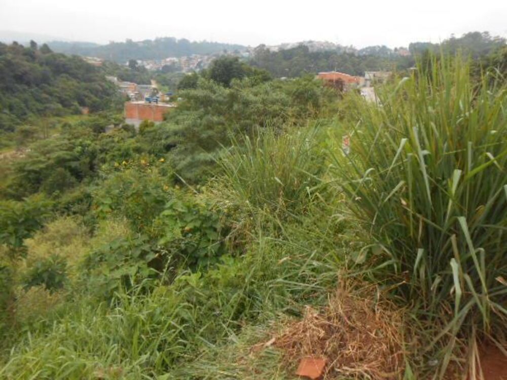 Terreno, 2530 m² - Foto 6