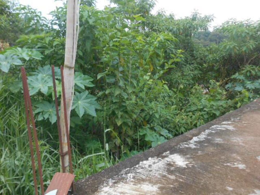 Terreno, 2530 m² - Foto 8