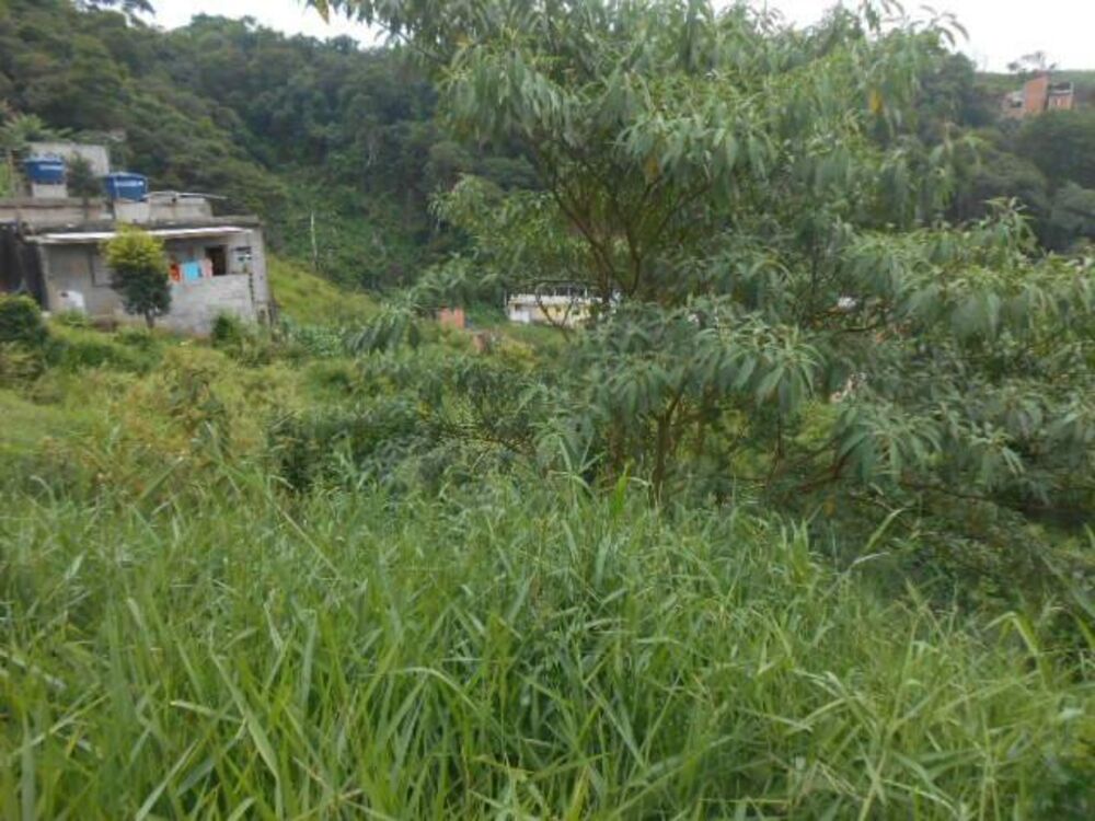 Terreno, 2530 m² - Foto 5