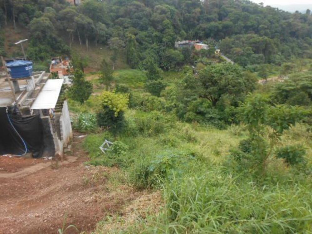 Terreno, 2530 m² - Foto 7