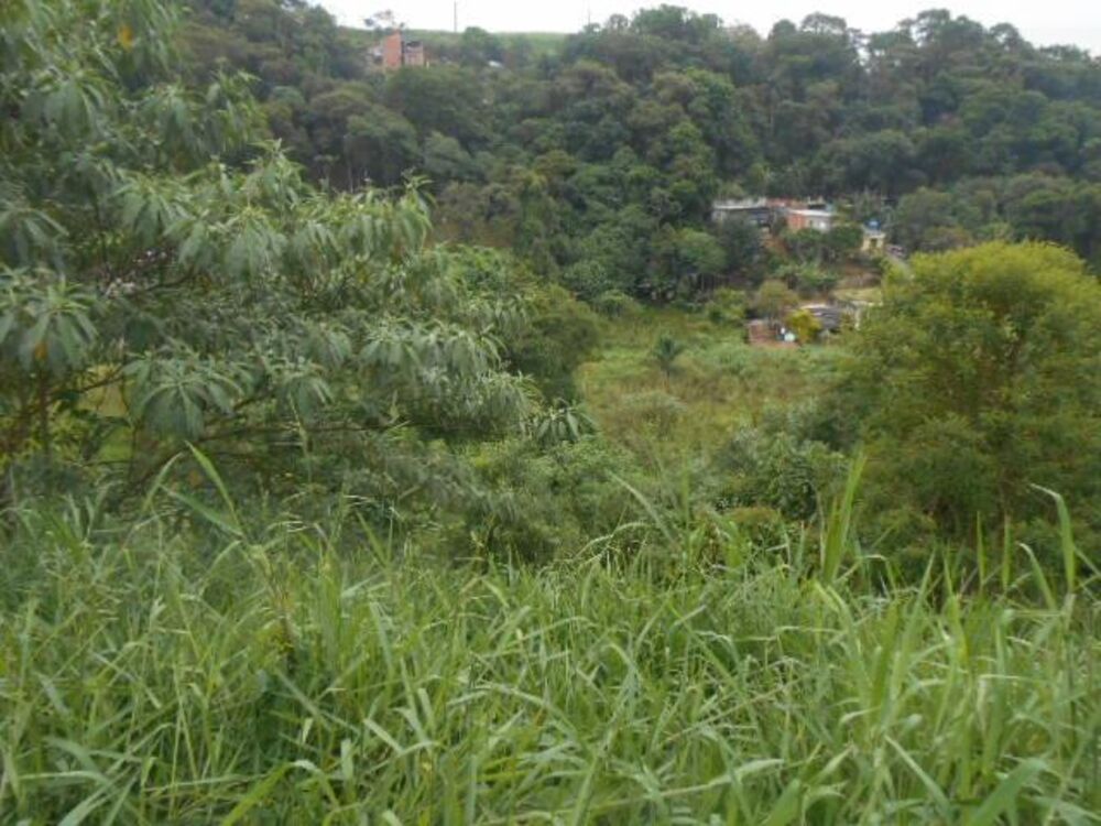 Terreno, 2530 m² - Foto 3