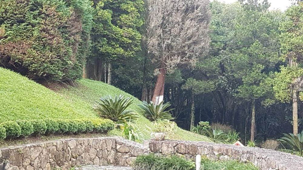 Chácara à venda com 4 quartos, 7000m² - Foto 25