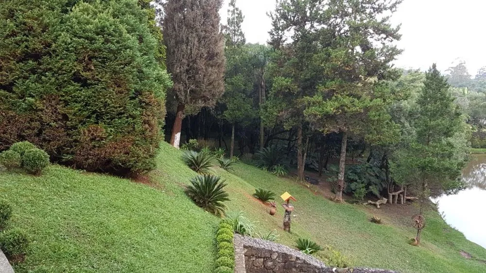 Chácara, 4 quartos, 7000 m² - Foto 31