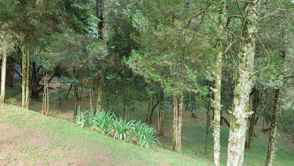 Chácara à venda com 4 quartos, 7000m² - Foto 22