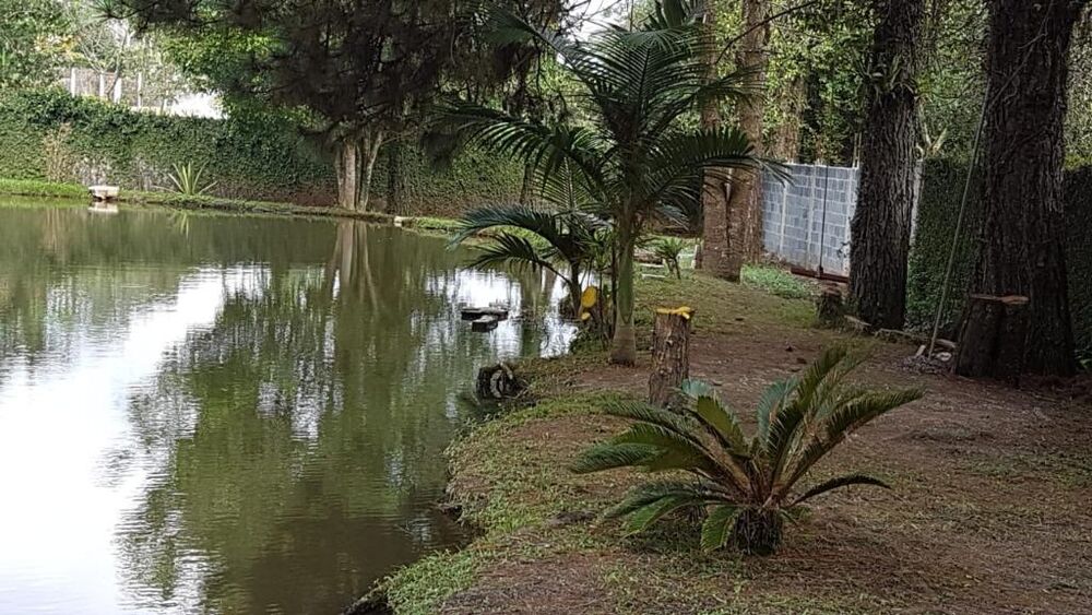Chácara à venda com 4 quartos, 7000m² - Foto 27