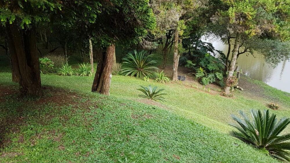 Chácara à venda com 4 quartos, 7000m² - Foto 21