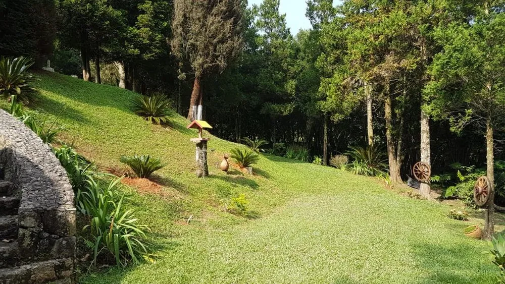 Chácara, 4 quartos, 7000 m² - Foto 2